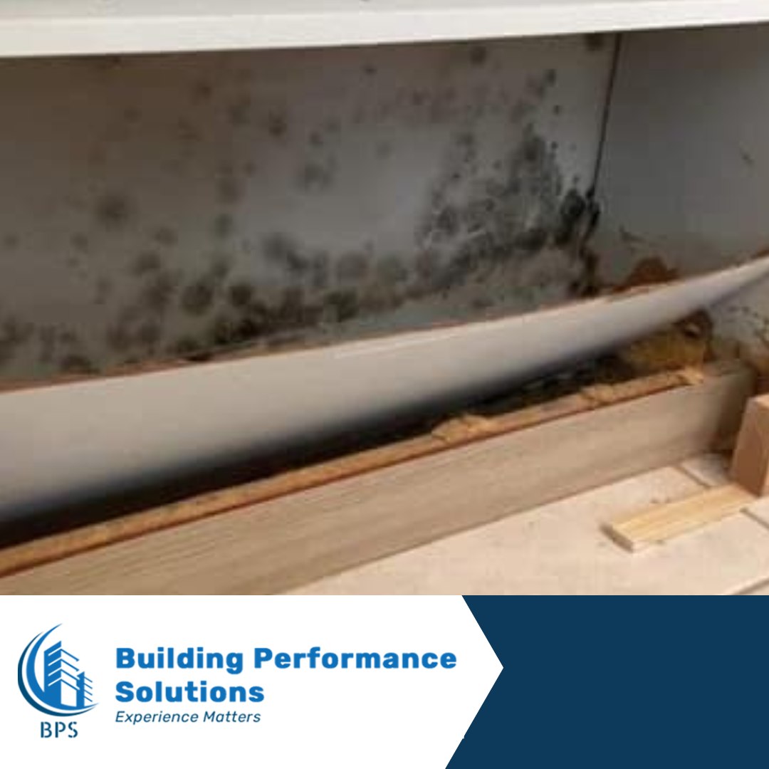 BANISH MOLD FROM YOUR BASEMENT, ATTIC, OR CRAWL SPACE! 
